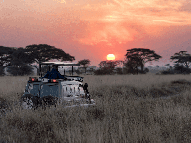 MASAI MARA